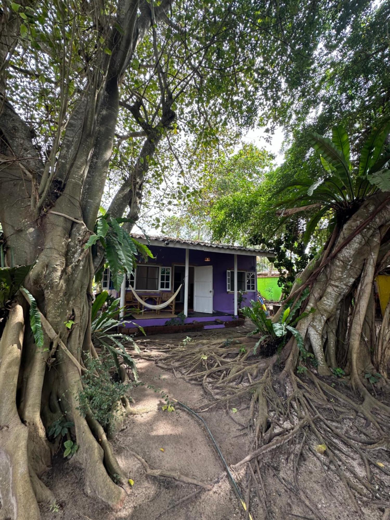 Colorful Hut Hotel Koh Phangan Eksteriør billede